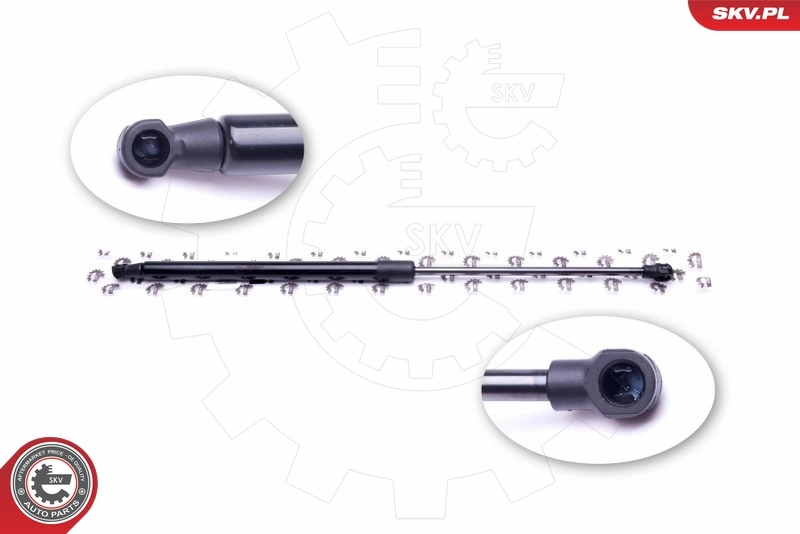 Gas Spring, boot/cargo area